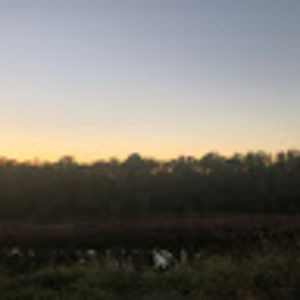 Meet your Posher, Gaby